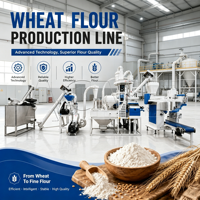 Ligne de production de farine de blé : Processus de mouture multi-grades pour la transformation du blé en farine fine, son et germe. OEM/ODM disponible.