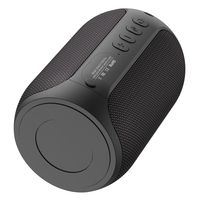 Reproductor de Karaoke nuevo y Original, Mini altavoz portátil Bluetooth inalámbrico Blue Tooth Zealot S32pro