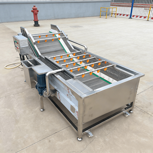 Laveuse à bulles haute capacité pour le traitement en vrac des légumes-feuilles (épinards, laitues) – Conception à haut rendement - Product Image 1