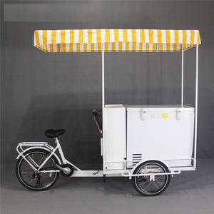Tricycle électrique avec assistance au pédale, routeur à glace, 10 pouces, avec chariot de distribution pour aliments, vélo électrique - Product Image 5