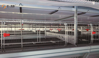 Vente directe usine : Système d'élevage automatique en batterie de type H en tôle galvanisée pour poules pondeuses à haute productivité