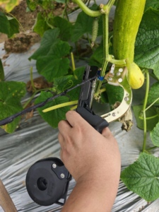 Machine à lier les plantes portative, outil Tapener pour raisins, tomates, concombres - Product Image 5