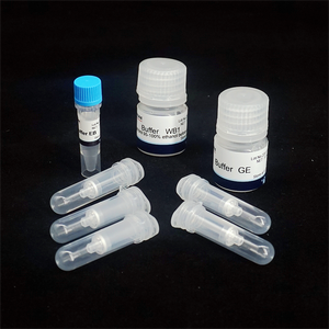 Foregene cung cấp 5t Mẫu <span class=keywords><strong>Kit</strong></span> DNA <span class=keywords><strong>Gel</strong></span> khai thác <span class=keywords><strong>Kit</strong></span> cho hiệu quả phục hồi độ tinh khiết cao DNA mảnh vỡ từ agarose <span class=keywords><strong>Gel</strong></span> - Product Image 6