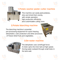 Semi-automatische productielijn voor kleine schaal productie van frieten, inclusief wassen, snijden, blancheren, frituren, ontwateren, ontvetten, kruiden en verpakken.