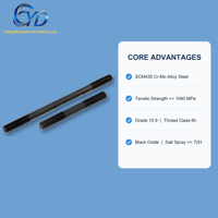 Double End Flat Head Stud Bolt Grade 10.9 High Strength Black Oxide M2 Thread for Truck Engine