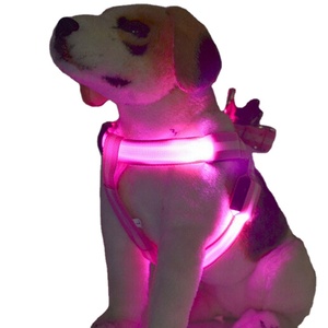 ปลอกคอสัตว์เลี้ยงแบบปรับได้พร้อมไฟ LED สำหรับกลางคืน ทำจากไนลอน ปลอดภัย ชาร์จ USB ได้  เสื้อกั๊กเรืองแสงสำหรับสุนัข ขายส่งแบบกำหนดเองได้ - Product Image 1