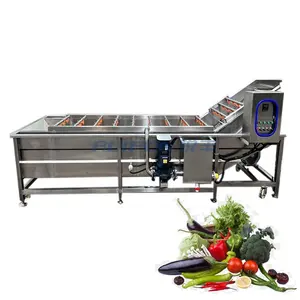 Industrial Fresh Vegetable Fruits Cleaning Drying Processing Machinery Dry Dates Washing Machine