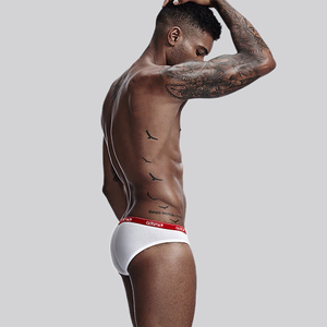 Sous-vêtements en coton de marque Adannu pour hommes Sexy Low-rise Triangle Briefs - Product Image 4