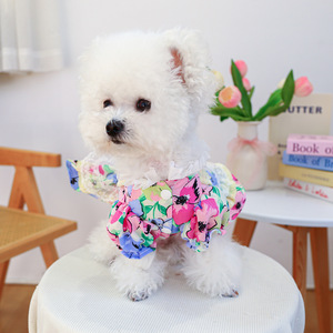 PETCIRCLE - Product Image 3