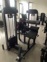 Appareil de fitness professionnel double fonction pour salle de sport, machine à abdominaux et extensions dorsales à charges guidées pour usage commercial