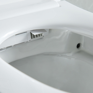 Керамический унитаз - Product Image 5