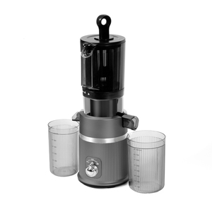 Extracteur de jus lent 200W à large <span class=keywords><strong>goulotte</strong></span> pour fruits et légumes, presse-fruits entiers, machine à jus à mastication puissante à froid pour usage domestique - Product Image 1