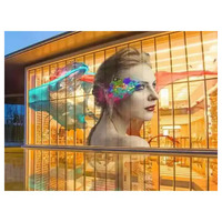 İç Mekan Şeffaf LED Film Hafif Tak ve Çalıştır Yapışkanlı Esnek Led Kristal Ekran Paneli Cam Pencere için