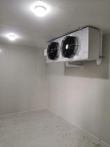 ซุปเปอร์มาร์เก็ตร้านอาหารอุปกรณ์ทำความเย็นขนาดใหญ่เดินในช่อง<span class=keywords><strong>แช่</strong></span><span class=keywords><strong>แข็ง</strong></span>ห้องเย็นสำหรับผักสดและผลไม้ - Product Image 3