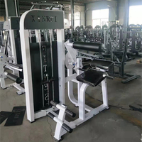 XINRUI Fabricant d'équipement de fitness professionnel Équipement de fitness commercial Machine d'extension du dos pour la salle de sport
