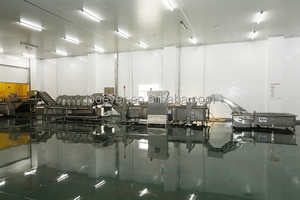 Grossista professionale frutta congelata e verdure surgelate con 20 anni di produzione e di esperienza di esportazione - Product Image 6