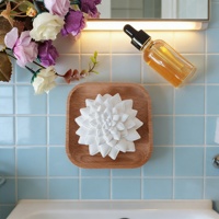 Diffuseur d'arômes passif en forme de fleur succulente, pierre parfumée aux huiles essentielles pour la décoration de la maison, ornement, cadeau désodorisant pour le salon
