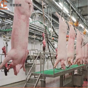 Solution complète pour abattoir porcin, adaptée aux budgets, avec installation de stockage frigorifique pour l'abattage et la découpe de viande porcine - Product Image 3