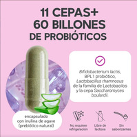 Capsules de glycinate de magnésium OEM en dropshipping, autres suppléments nutritionnels et de santé à base de plantes, complément alimentaire
