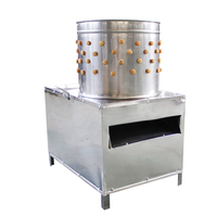 BT-50 Nouvelle machine à plumer automatique en acier inoxydable de haute qualité 1500W Vente directe d'usine pour le traitement de la volaille