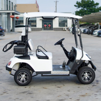 Voiturette de golf électrique 2 places avec batterie au lithium, audio Bluetooth, porte-sac de golf, éclairage LED et kit d'outils