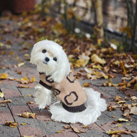 Pull personnalisé pour chien avec nom, design pour Bichon Frise, Schnauzer, automne-hiver