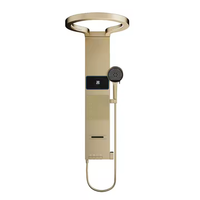 Panneau de douche numérique LED à poignée unique Fyeer, gris canon, thermostatique, avec jet de massage doux et pluie, surface brossée pour hôtels