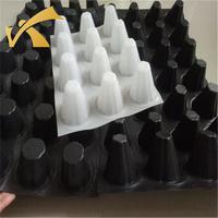 Plateau de toit vert à alvéoles Membrane étanche HDPE tapis de Drainage planche égouttoir pour terrasse jardin métro Tunnel feuille de décharge