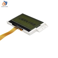 Module d'affichage à matrice de points FPC 128x64 Goldenvision, écran tactile capacitif positif Cog, écran LCD FSTN, utilisation industrielle/médicale, 1 an