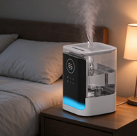 Humidificateur ultrasonique domestique, fonction brume chaude, grand réservoir d'eau, arrêt automatique en cas de manque d'eau, prises multi-pays