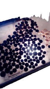 Cuerno de búfalo blanco negro botón para prendas de vestir - Product Image 4