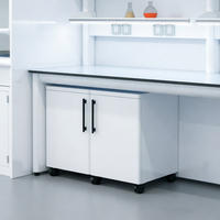 Armoire de rangement mobile de laboratoire à double porte entièrement en acier avec roulettes et grande capacité pour le stockage d'équipements fermés