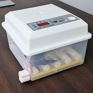 Inkubator Telur Ayam Mini Kontrol Cerdas Desain Baru Untuk Penggunaan Rumah Tangga 220v Motor 6/9/12/16/24/30/36/48/56/96 Tray Otomatis Lainnya - Product Image 4