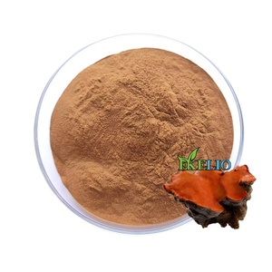 <strong>Antrodia</strong> <strong>Cinnamomea</strong> Extract Polysaccharides Powder <strong>Antrodia</strong> Camphorata Mushroom Extract Powder - Product Image 1