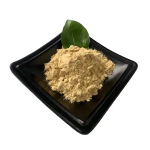 饲料/食品级大豆卵磷脂散装优质向日葵卵磷脂粉