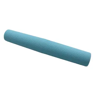 OEM彩色蓝色修身20x2.9厘米塑料旅行单牙刷架