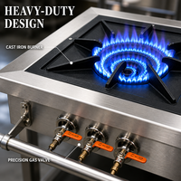 Cuisinière à gaz commerciale à 2 brûleurs, plaque de cuisson wok en acier inoxydable, cuisinière chinoise pour restaurant et cuisine