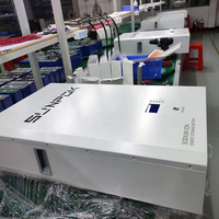 Batterie au sodium-ion durable 48V 200Ah pour appareils électroménagers et systèmes de stockage d'énergie solaire, tension du système 51,2V