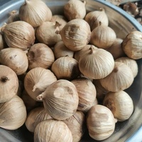 Ail noir fermenté de Chine, nouvelle récolte, prix de gros direct usine, Ail noir Solo