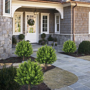 Plante artificielle d'extérieur pour décoration de cour, style à insérer au sol, en <span class=keywords><strong>buis</strong></span> vert, modè<span class=keywords><strong>le</strong></span> best-seller - Product Image 5