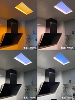 Coelux LED Panneau lumineux 2ft by 4ft Artificial Sunlight Skylight avec Blue Sky Effect Window Type de produit