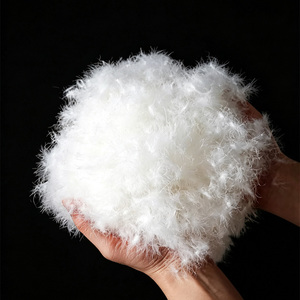 Plumes <span class=keywords><strong>de</strong></span> <span class=keywords><strong>canard</strong></span> blanches pures et collantes, lavables en machine, à bas <span class=keywords><strong>prix</strong></span> - Product Image 1