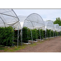 Serres agricoles en polytunnel, serres agricoles commerciales, serres agricoles/commerciales, serres vertes