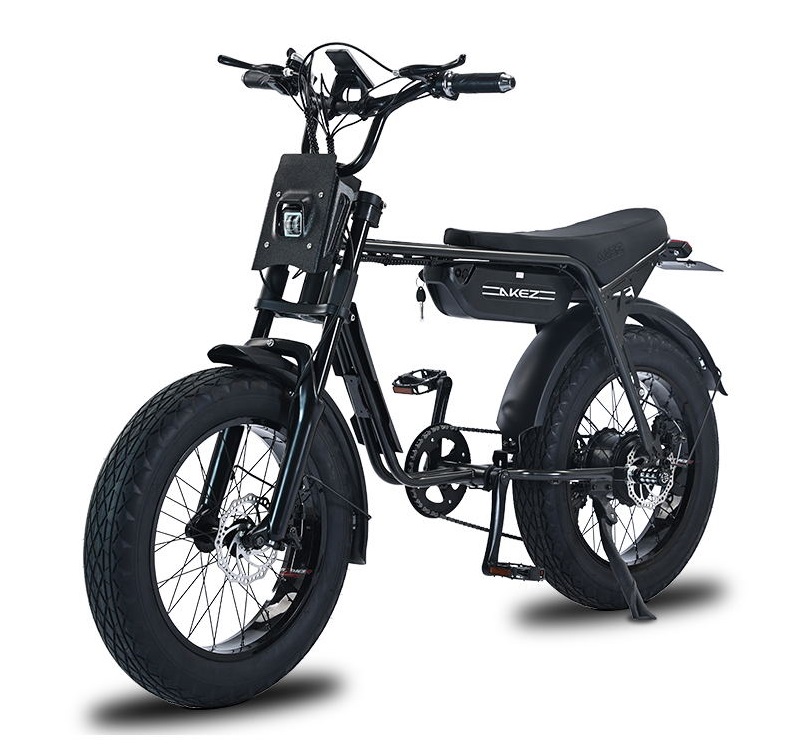 は自分にプチご褒美を FAT 2025 TIRE 48V750W/1500W - Ebike 20*4.0inch ZX MODEL 自転車本体