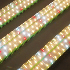 Barre de culture LED à spectre complet 120W avec UV supplémentaire pour jardinage intérieur, légumes, fruits, hydroponie multicouche - Product Image 4