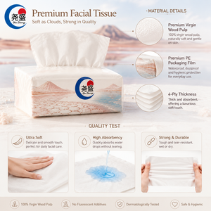 Pañuelos Faciales Decorativos Suaves de 3 Capas con Diseño de Paisaje Volcánico del <span class=keywords><strong>Lago</strong></span> <span class=keywords><strong>Assal</strong></span> de Djibouti, en Caja - Product Image 4