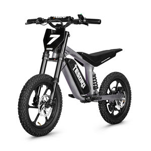 Vélo électrique à équilibre Lianmei Tesoro LME-BB2-2 16 pouces - Product Image 1