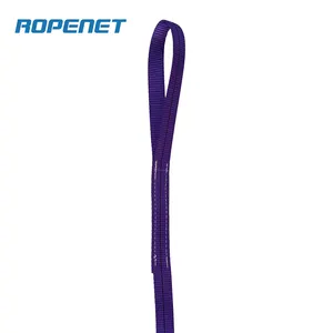 ROPENET High Performance Polyester Round Sling Heavy Lifting CE Certification 8T 10M