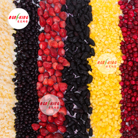 Export van concurrerende prijzen, groothandel, bulkdistributie, nieuw seizoen IQF diepvries gemengd fruit, gemengde bessen