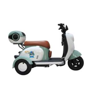 2023 <span class=keywords><strong>Comprar</strong></span> al por mayor Ancianos 3 ruedas Asiento doble Triciclos eléctricos Motocicleta para adultos - Product Image 1